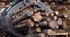 Canada challenging U.S. softwood tariffs under the new NAFTA agreement