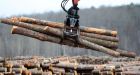 U.S. proposing lower duties for New Brunswick lumber producers