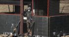 North Korea, South Korea both launch warplanes as tension remain high