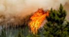 B.C. wildfire fighter killed responding to blaze outside Revelstoke