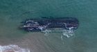 A ghostly shipwreck has emerged in Newfoundland, and residents want to know its story