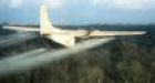 Vets win court battle in Agent Orange fight