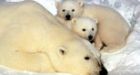 U.S. moving to claim parts of Beaufort Sea