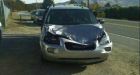 Cow Falls Onto Minivan. *