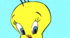 Raise your right wing: Italian court orders Tweety and Donald Duck to testify