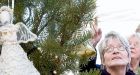 Christmas tree symbolic for victims' families