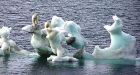 Ominous Arctic melt worries experts