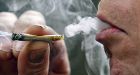 Pot-linked 'epidemic' of lung cancer predicted