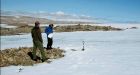 1,600-year-old plants freed from ice caps