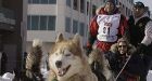 Mackey catching up as Anderson snatches Yukon Quest lead