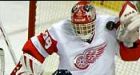 Wings down Sabres to snap losing streak