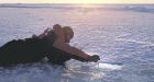 Scientists in Arctic go with the floe