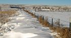 'Spring is going to take its sweet time'
