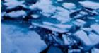 Arctic ice melting fast in summer sun