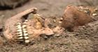 Skeletons found near historic Plains of Abraham