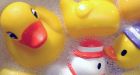 Rubber duckie falls victim to plastic scare