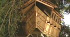 Controversial B.C. treehouse to be auctioned