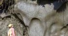 Yukon permafrost older than previously thought
