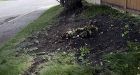 Teen chat-site details deadly joyride