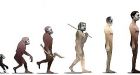 Leading geneticist Steve Jones says human evolution is over