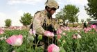 NATO reaches deal for tougher Afghan drug action
