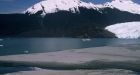 Belugas in Alaska's Cook Inlet put on endangered species list