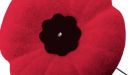 Elect to wear your poppy
