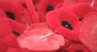Activists propose poppy redesign with peace sign