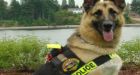 Ont. teen chokes out police dog