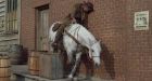 Man cited for driving drunk on a horse
