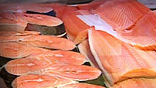 Advice to eat fish hurts environment: scientists