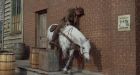 Colo. man on horse ticketed for riding while drunk
