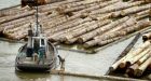Ottawa plans $1-billion boost for forestry