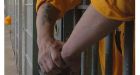 Tories to legislate right of victims to attend parole hearings