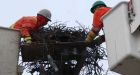 Osprey nest removed from pole near Inuvik airport