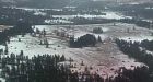 B.C. government wants to rescue search societies