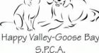 Labrador SPCA uses internet in dog abuse case