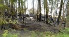 3 children die in B.C. cabin fire