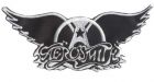 Aerosmith Skip Winnipeg Gig, Tyler Breaks Shoulder in Stage Fall