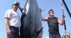Summer tuna quota caught in 4 days