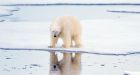 Arctic climate change at tipping point'