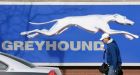 Greyhound eyes further service cuts in B.C.
