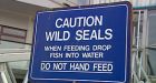 Don't feed seals, say marine experts
