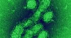 B.C. health officials slam CMAJ for H1N1 report