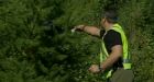 Quebec woman dies after bear attack, car crash