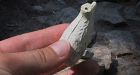 300 years of military history unearthed