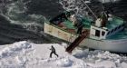 Canada contests EU seal ban at WTO