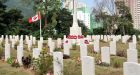 Beauty and tragedy in global network of war graves