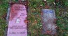 Push on to turn pet cemetery into park