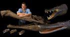 Crocodile ancestors found in Sahara